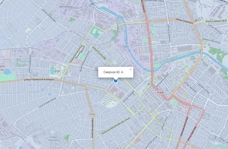 Korona management system screenshot 5