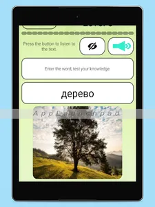 Russian language learn words screenshot 18