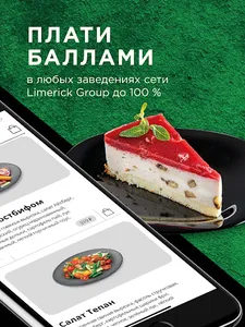 LimerickGroup screenshot 5