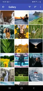 Gallery screenshot 1