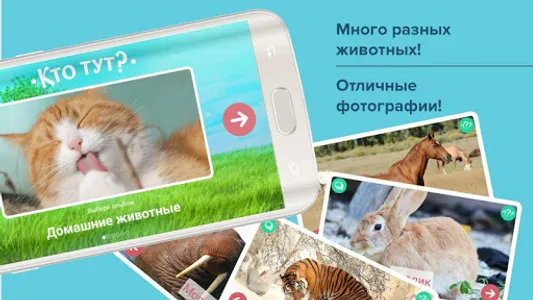 Карточки с животными учим screenshot 0
