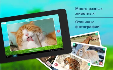 Карточки с животными учим screenshot 13
