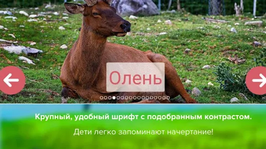 Карточки с животными учим screenshot 3