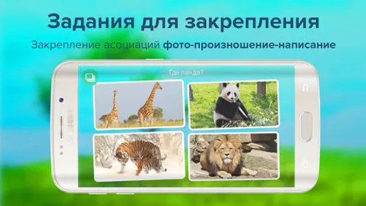 Карточки с животными учим screenshot 4