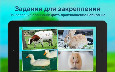 Карточки с животными учим screenshot 5