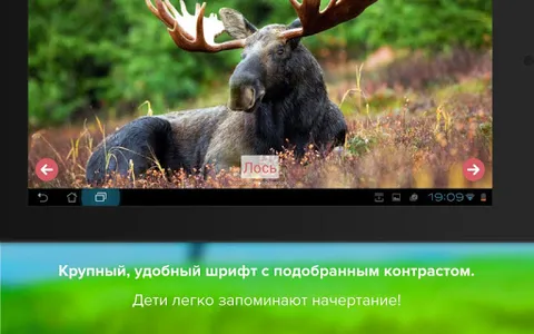 Карточки с животными учим screenshot 9
