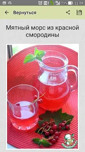 Компот, морс, лимонад. Рецепты screenshot 2