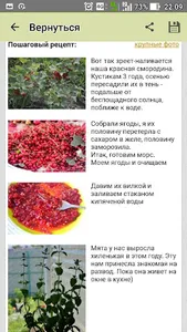 Компот, морс, лимонад. Рецепты screenshot 3