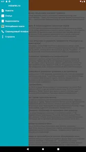 Misanec.ru - Новости Ульяновск screenshot 8
