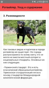 Ротвейлер. Уход и содержание screenshot 3