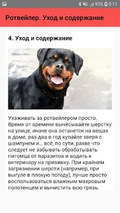 Ротвейлер. Уход и содержание screenshot 4