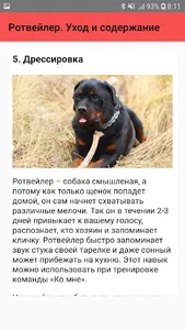 Ротвейлер. Уход и содержание screenshot 5