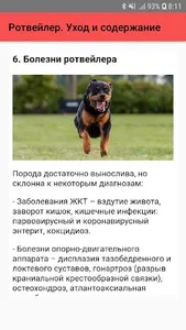 Ротвейлер. Уход и содержание screenshot 6