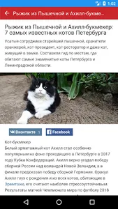 Peterburg2 гид: куда пойти в С screenshot 2