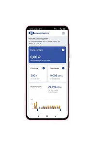 ЛК ПАО Самараэнерго screenshot 1