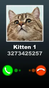 Fake Call Kitten Joke screenshot 4