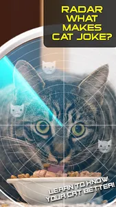 Radar What Makes Cat Joke screenshot 8