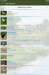 Птицы Поволжья screenshot 17