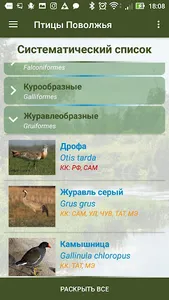 Птицы Поволжья screenshot 2