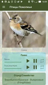 Птицы Поволжья screenshot 6