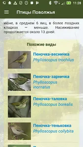 Птицы Поволжья screenshot 7