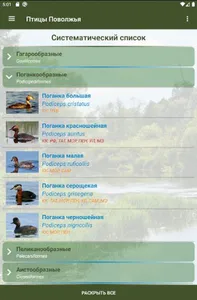 Птицы Поволжья screenshot 9