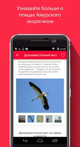 Птицы Амура screenshot 2