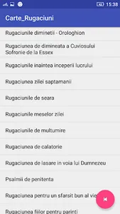 Rugaciunile Zilei screenshot 12