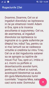 Rugaciunile Zilei screenshot 14