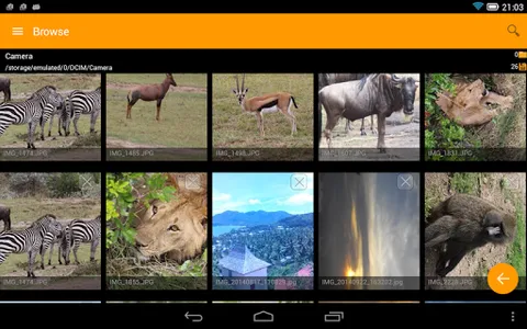 Browse - File manager screenshot 9