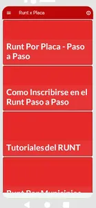 Runt por placa Info screenshot 1