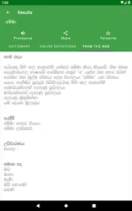 Sinhala Dictionary Offline screenshot 12