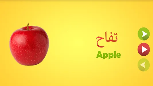 Learn Arabic Words screenshot 0