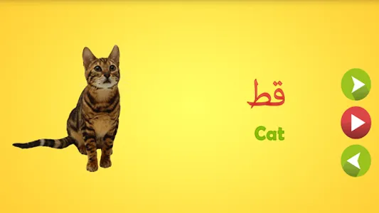 Learn Arabic Words screenshot 1