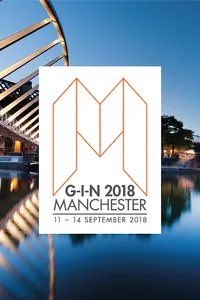 G-I-N 2018 screenshot 5