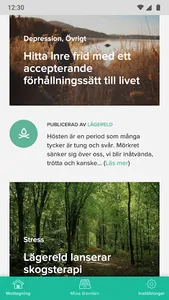 Lägereld screenshot 2