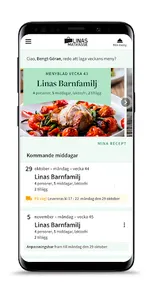 Linas Matkasse screenshot 3