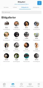 MyDogCare screenshot 7