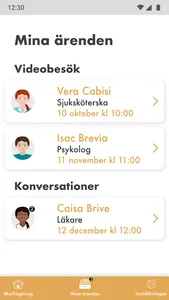 Ung i Dalarna screenshot 2
