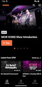 Horizon Wrestling screenshot 0