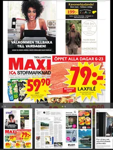 TTELA E-tidning screenshot 6