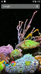 Seahorse Video Live Wallpaper screenshot 2