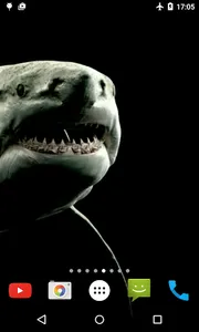 Shark 4K Video Live Wallpaper screenshot 3