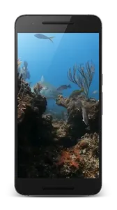 Shark Live Wallaper screenshot 1