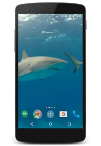 Sharks Video Live Wallpaper screenshot 0