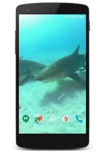 Sharks Video Live Wallpaper screenshot 1