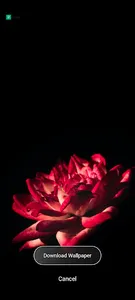 My Wallpapers screenshot 2