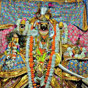 shree roopnarayan ji mandir screenshot 4