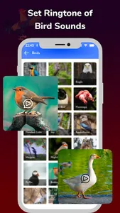 Animal Sounds - Ringtone Maker screenshot 10