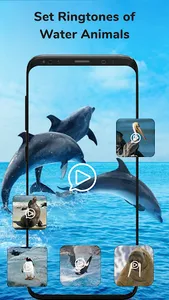 Animal Sounds - Ringtone Maker screenshot 11